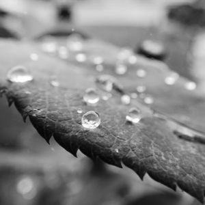 Meet your Posher, Anya